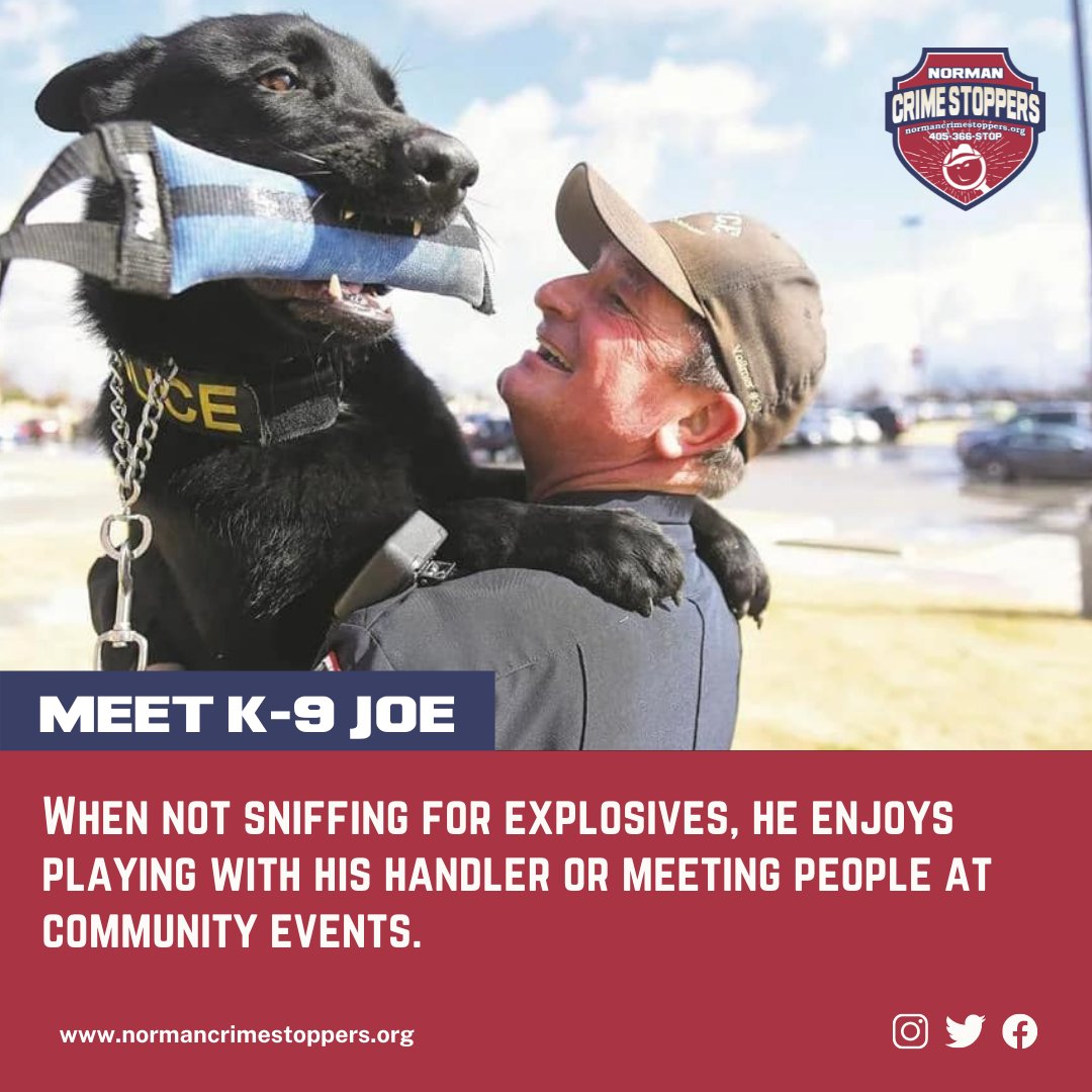 Meet K-9 Joe, a 2-year-old German Shepherd. His driver MSgt Greg Vollmer patrols OU campus. Joe is a certified explosives detection K-9 &amp; a member of the OU/Norman Police Bomb Squad. Joe attends numerous community events &amp; works athletic events around campus. 
<a href="/oupdnorman/">OU Police Department</a>