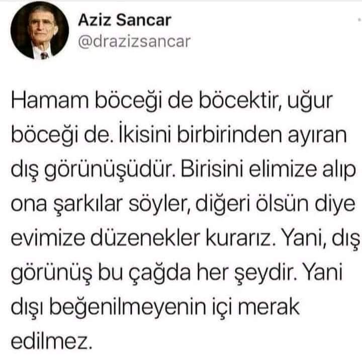 Eźźédďini kurdi (@gelyezilan65) on Twitter photo 