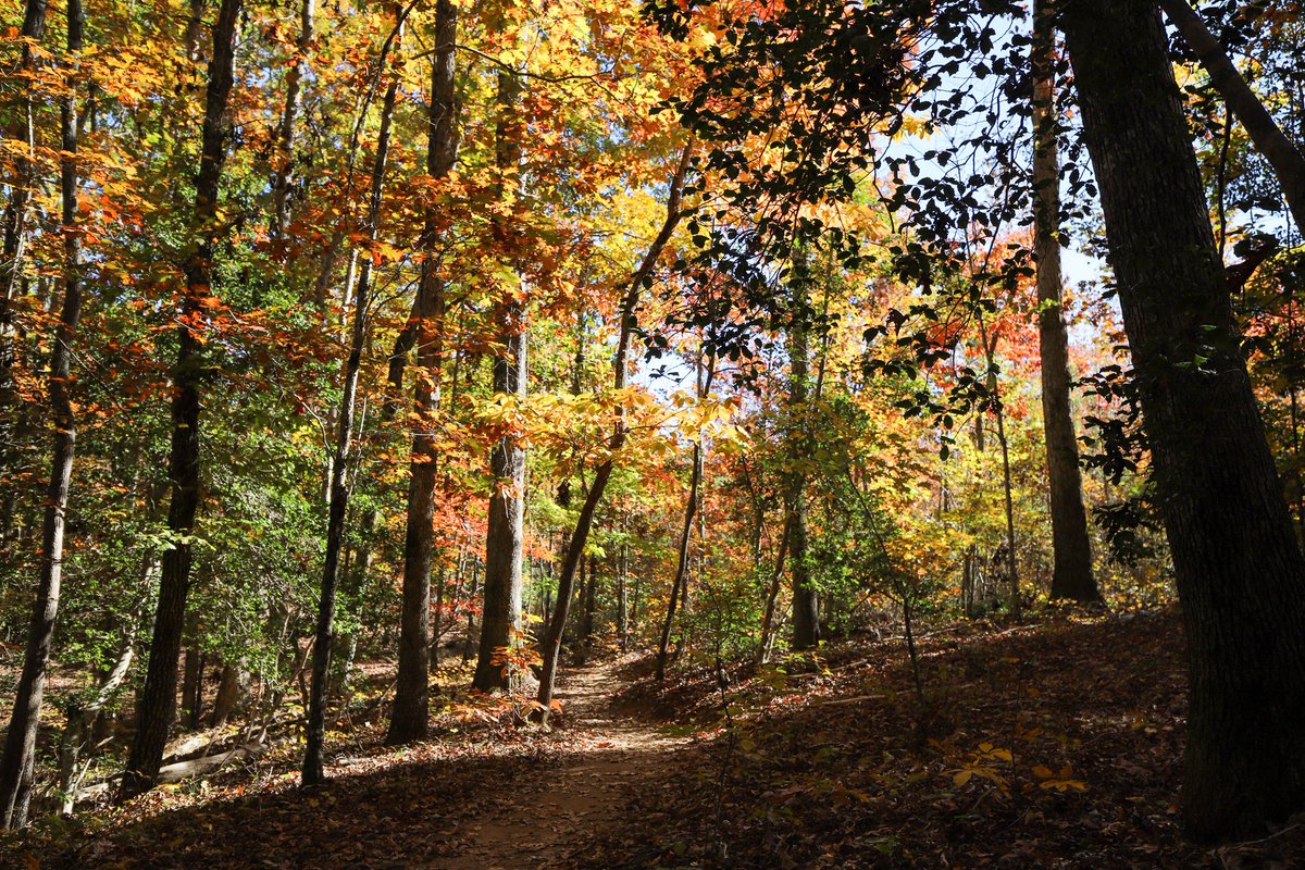 UpstateForever's tweet image. A new 2.3-mile trail was recently unveiled at Paris Mountain State Park! Sassafras Trail travels across a 160-acre property purchased by Friends of PMSP in 2015 &amp;amp; protected through a conservation easement by Upstate Forever in 2018. Read more: upstateforever.org/blog/land-cons…