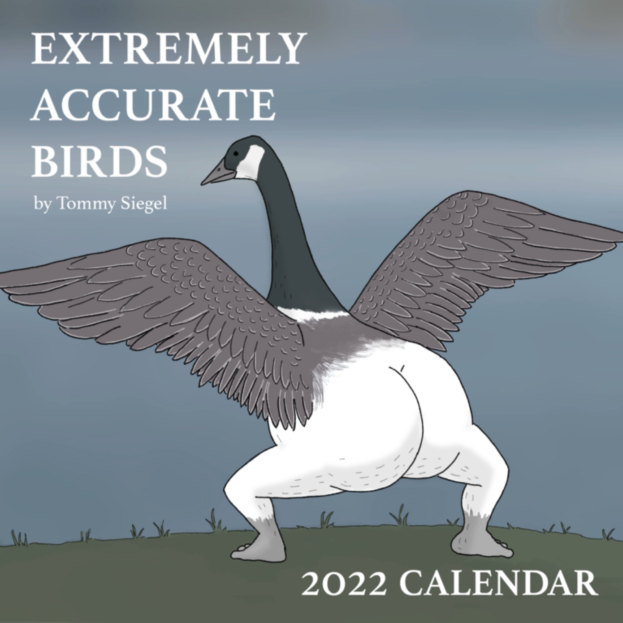 2023 Edition - Precise Bird Stickers for Expert Birders (4 Pack) — Tommy  Siegel