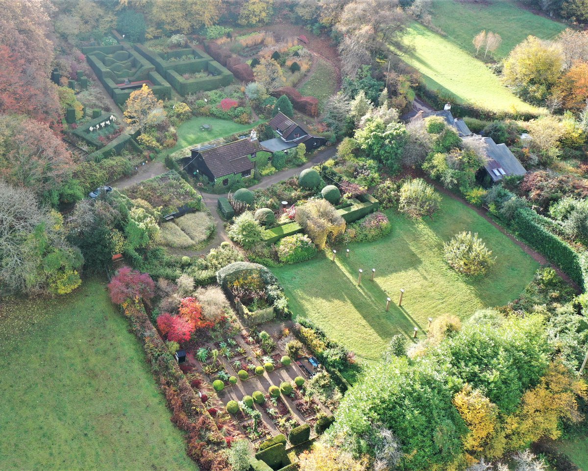 Anne Wareham tweet media