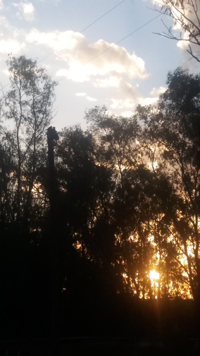 Kobossss (@koboss123) on Twitter photo 