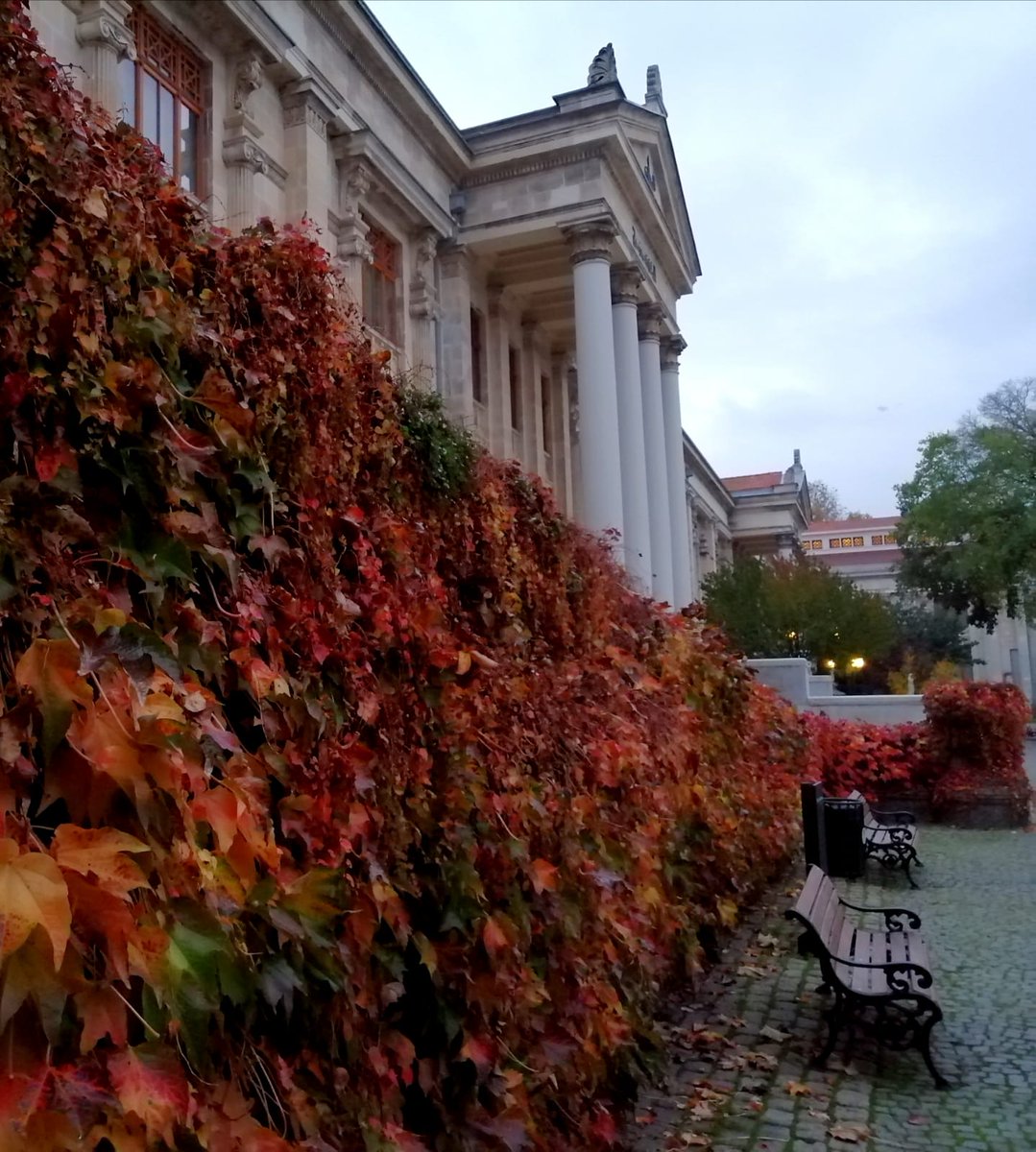 İstanbul Arkeoloji Müzeleri'nde bir sonbahar klasiği 🍁. Fotoğrafı çeken ve benimle paylaşan Müzemizin uzmanı Ömer Çepnioğlu'na teşekkür ederim.