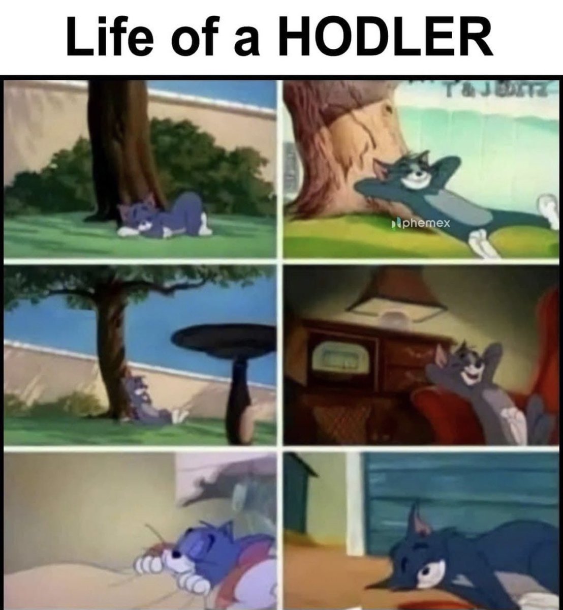 techconcatalina's tweet photo. La Vida de un Hodler! 🤗🚀

#LaVidaCripto #UnPrivilegio @PhemexSpanish @Phemex_official https://t.co/wCaZqVskcx