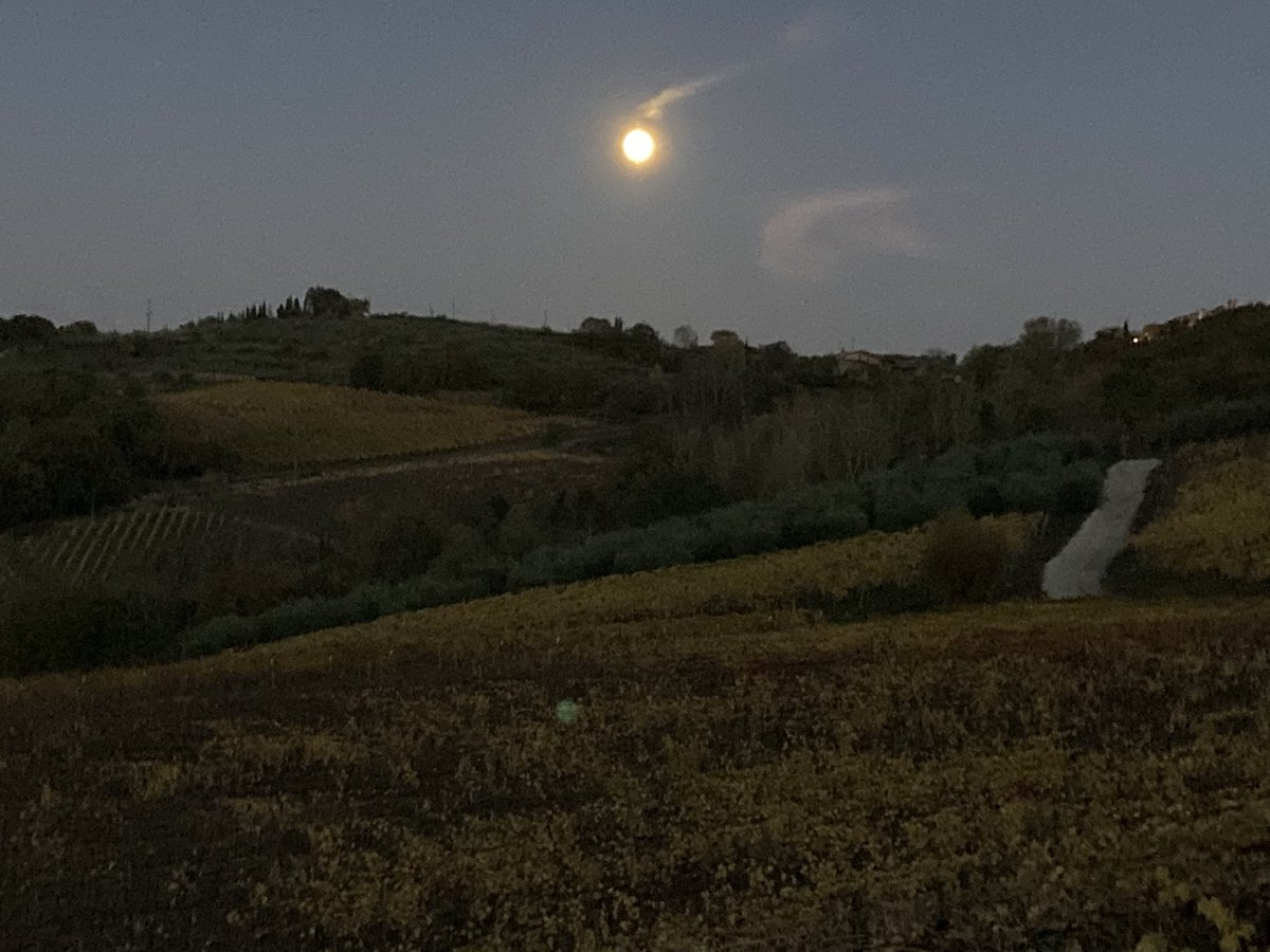 PaoloCianferoni's tweet photo. Caparsawinery under the moon #Caparsa #Raddainchianti https://t.co/TzotWLUc1r