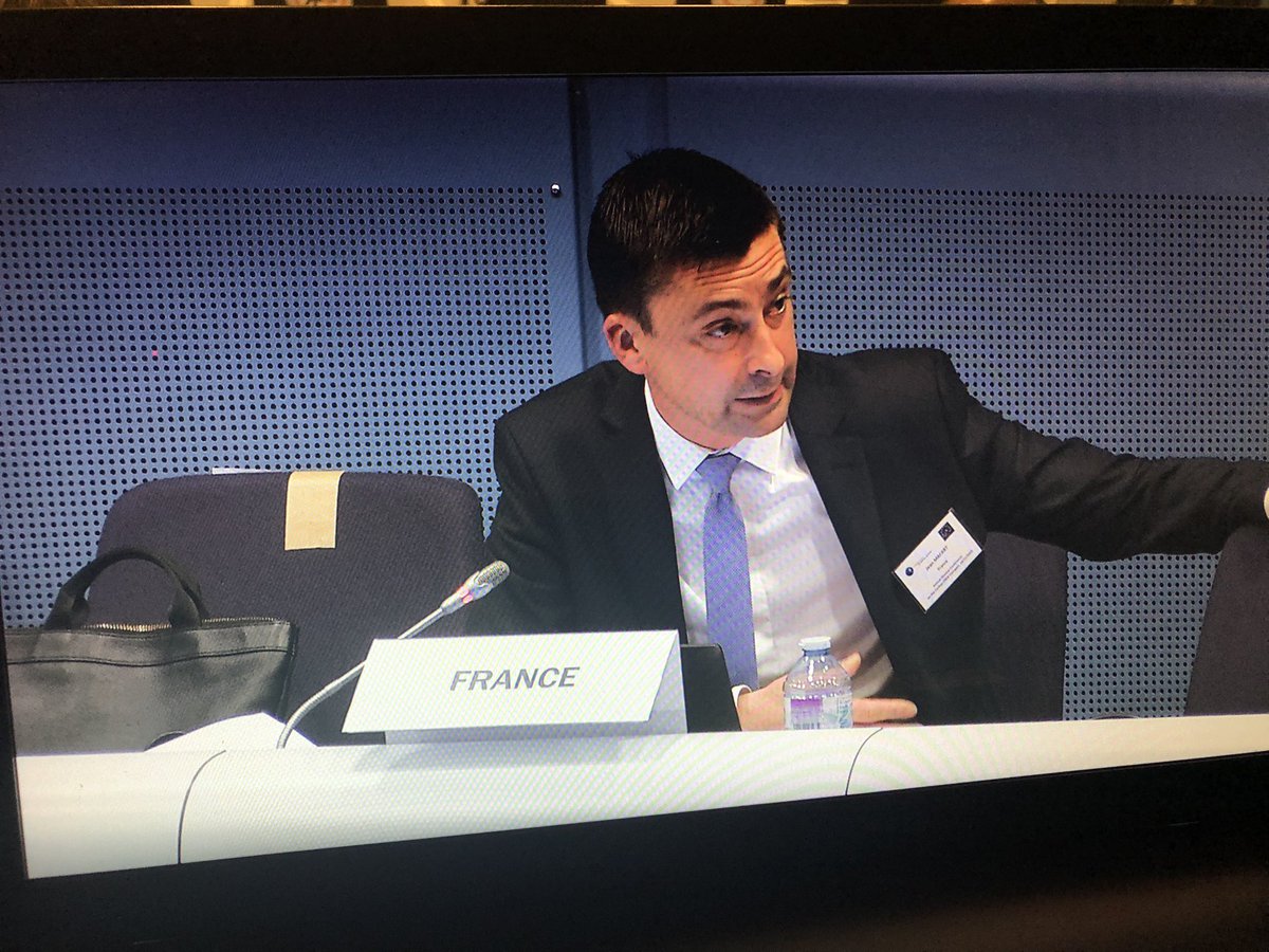 klimdal's tweet photo. The internal/external nexus needs to be better formulated, including in the mandates of #CivilianCSDP missions says FR MoI Director Jean Mafart on the future FR PCY priorities for 2022. #ARC @EUSec_Defence @HuismanCrista https://t.co/wVgZvlqulI