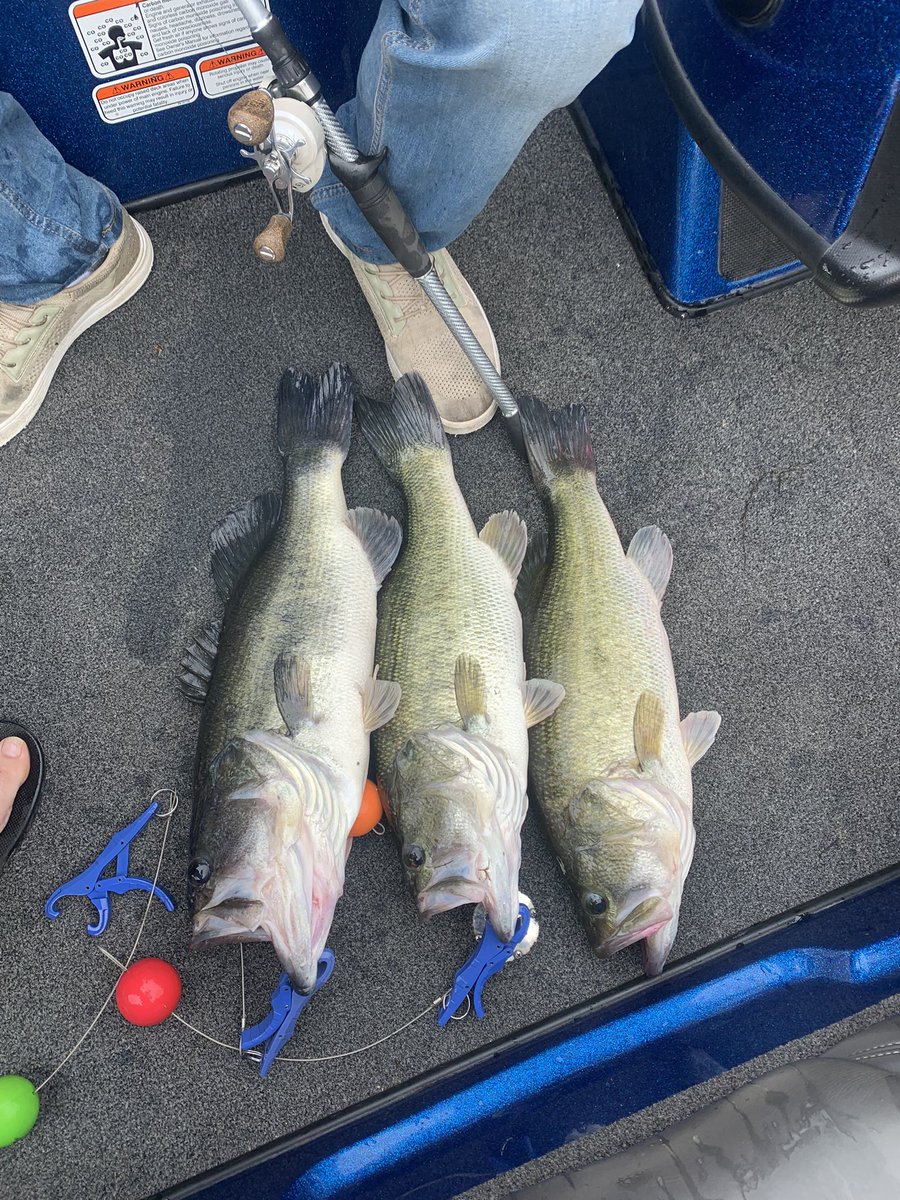 JayMinter20's tweet photo. 16 pounds for three fish😮‍💨 https://t.co/U2CCFTjhSl