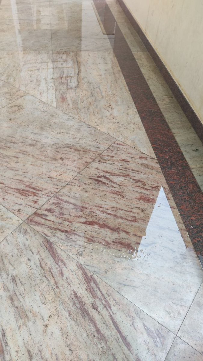 SRGF_O2's tweet photo. Leakage from terrace and the grand entrance https://t.co/72GIrppAwN