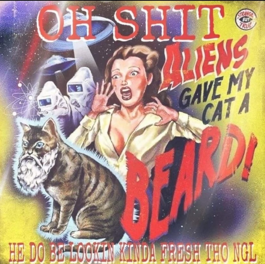 SolVaults's tweet image. No news is good news sometimes #NFTCommmunity fam

Here is a cat with a beard because that’s rad. Also #Solana they tell me to tag that