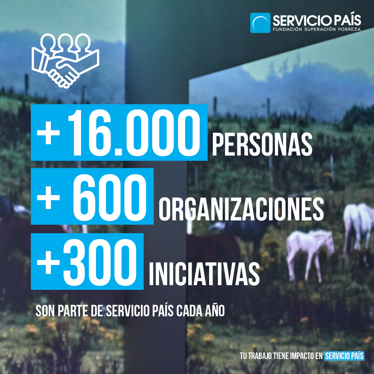 ServicioPais's tweet photo. 📢 Tu trabajo TIENE IMPACTO en Servicio País ✊  Desde el desarrollo de proyectos de aporte directo al desarrollo local a la descentralización profesional 🙌  Encuentra #ElMejorLugarParaTrabajar en SERVICIO PAÍS.
👉 Postula hasta el 22 de noviembre en https://t.co/vXNcY7xpMa https://t.co/xlCBUN0Jhv