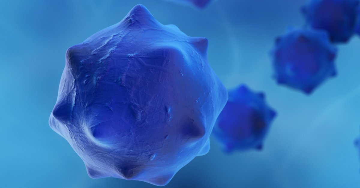 Telesis_bio's tweet photo. Could #PRMT1 be a potential target for #PancreaticCancer? We were proud to see our #BioXp gene synthesis technology used in this study to ID epigenetic vulnerabilities in the hard-to-treat #cancer. Great research to read during #PCAM.
#pcsm
https://t.co/tB4xUfMlXh https://t.co/h9vcWiDPfI