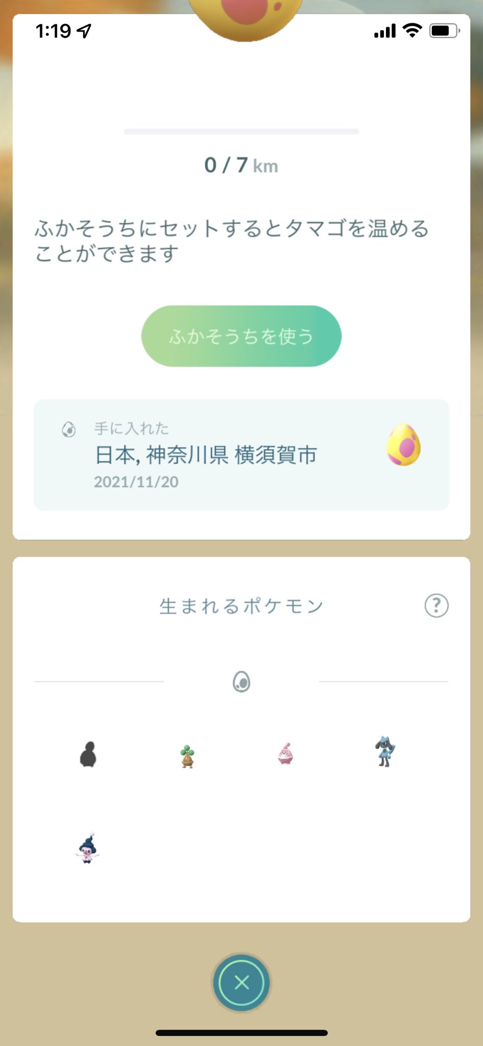 ぺぺ Pepepokepoke Twitter