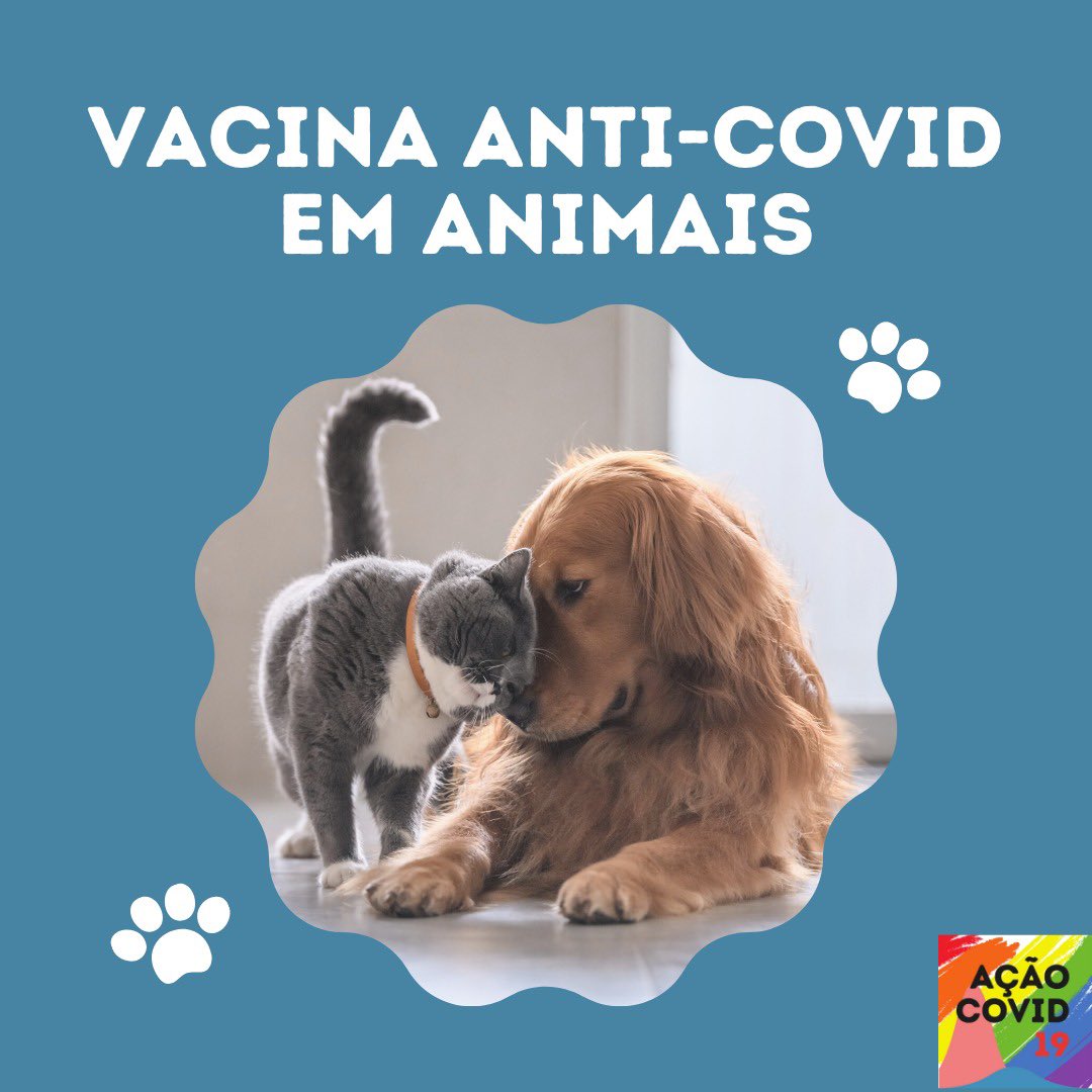 AcaoCovid's tweet photo. Ao longo de 2020, vimos diversas espécies de animais que testaram positivo para a Covid-19. Eles também serão vacinados?

Segue nosso fio 🧶 https://t.co/EADOt3xlfH
