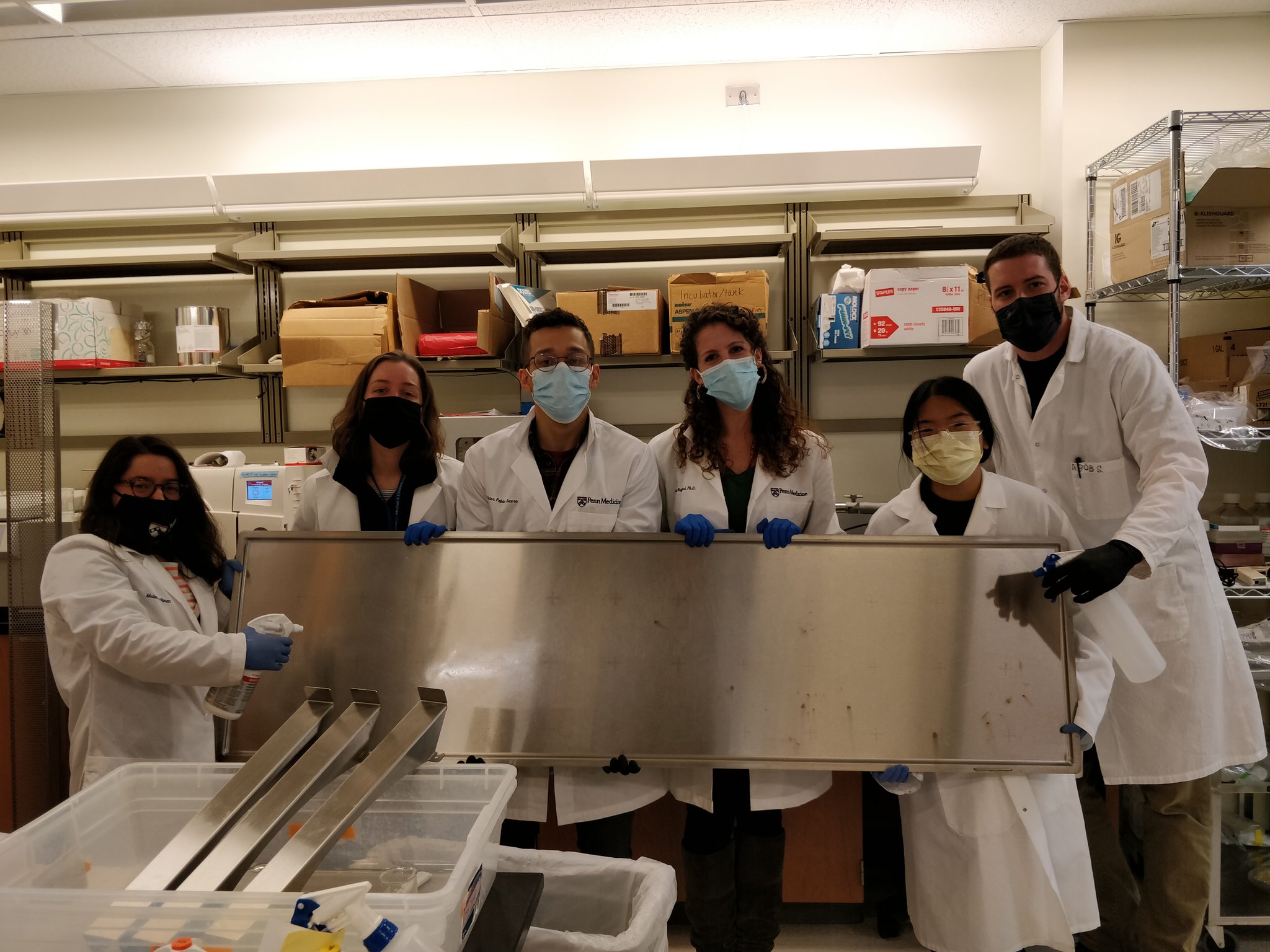 Cullen Lab (dkcullenlab) / Twitter