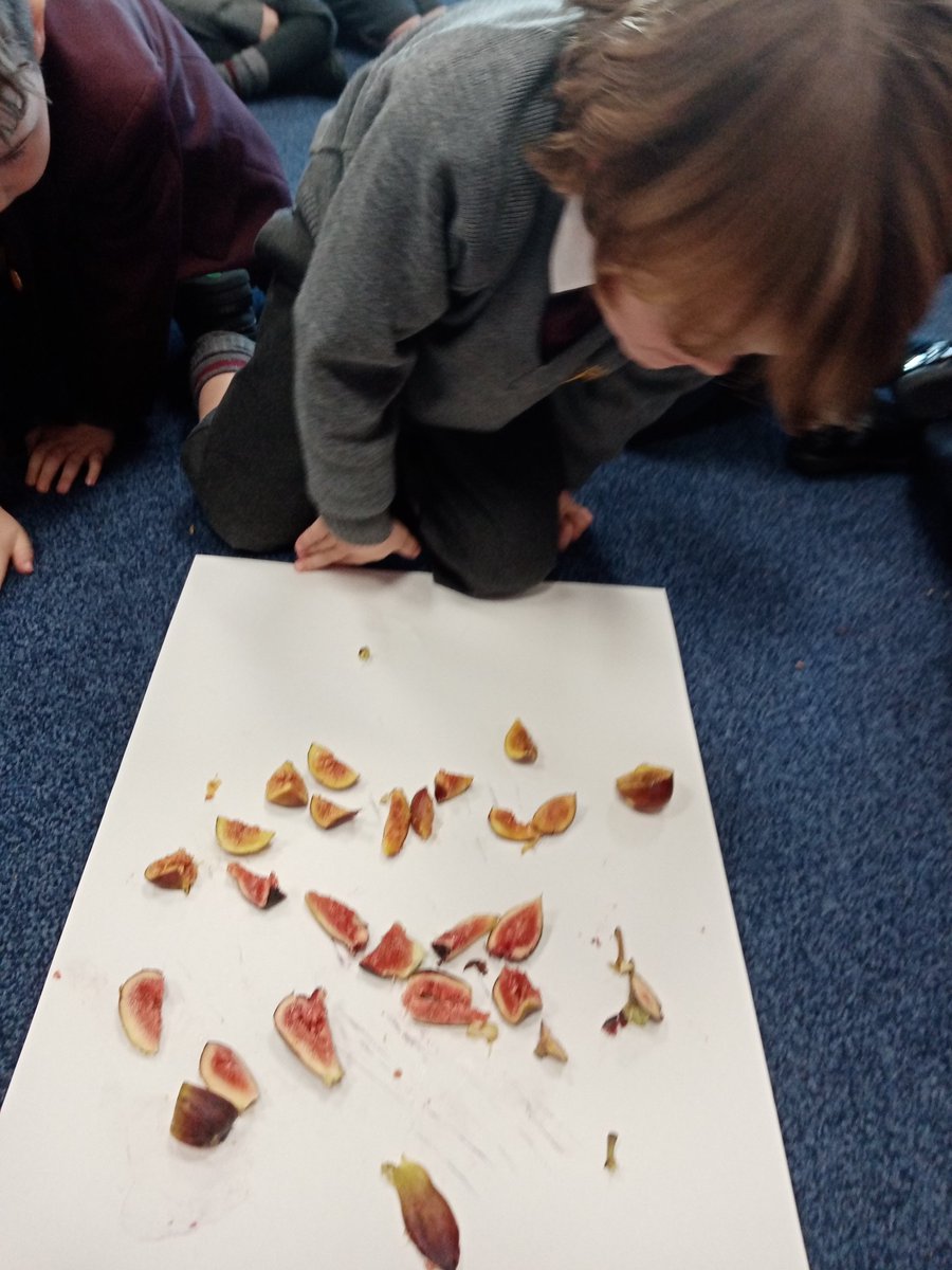 stmarys_prep's tweet photo. 'Figure it out Friday' had all of  the children guessing this week! Lots of rich and imaginative language used as we tried to figure out what the  "mini pomegranate looking, squidgy, little balls" were. The children were so animated tasting... Figs!#EYtalking #curiouschildren https://t.co/DatW4aJFjY