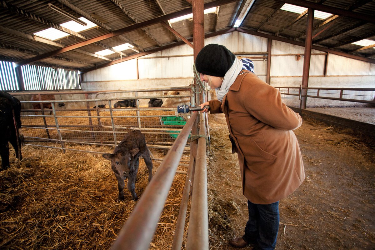 EU Agriculture🌱 tweet media
