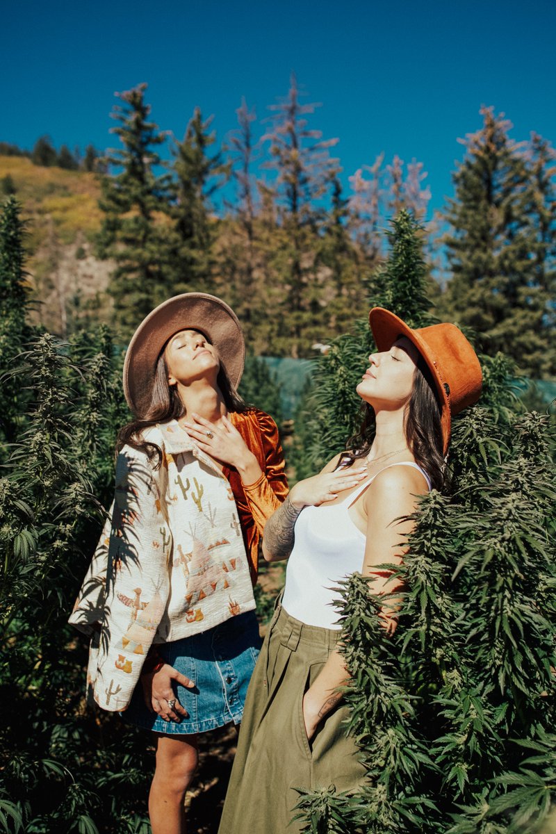 pufcreativ's tweet photo. When that sunlight, coffee and cannabis hit just right on a Friday....
Photo by Sydney Montoya @sydney_slabs
cc @potzero420
#pufcreativ #potzero #organiccannabis #cannabiscultivation #cannabisculture #fridaymood https://t.co/CCDgCPsVRp