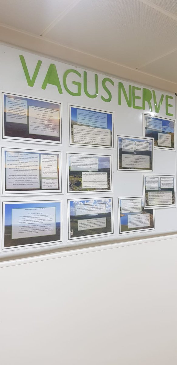 Staff have been doing some Self Directed Learning and decided to share the benefit of it with patients #vagusnerve #mentalhealth <a href="/GlenbourneUnit/">The Glenbourne Unit</a> <a href="/AmyAmybrowning1/">Amy browning</a> <a href="/livewellsw/">Livewell Southwest</a> 
Is this a topic you are familiar with??