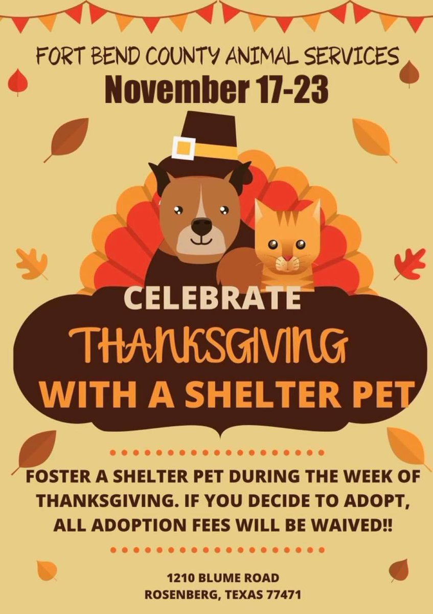 FBCASTX's tweet photo. You have room for one more around your Thanksgiving tableβ¦donβt you? No? Thatβs okay! Our cats and dogs are okay with sitting on the floor!
#dog #cat #shelterpet #foster #holidays #thabksgiving #fosterfortheholidays #shorttermfoster #fostercat #fosterdog #adoptdontshop https://t.co/YMHCQXtA2A