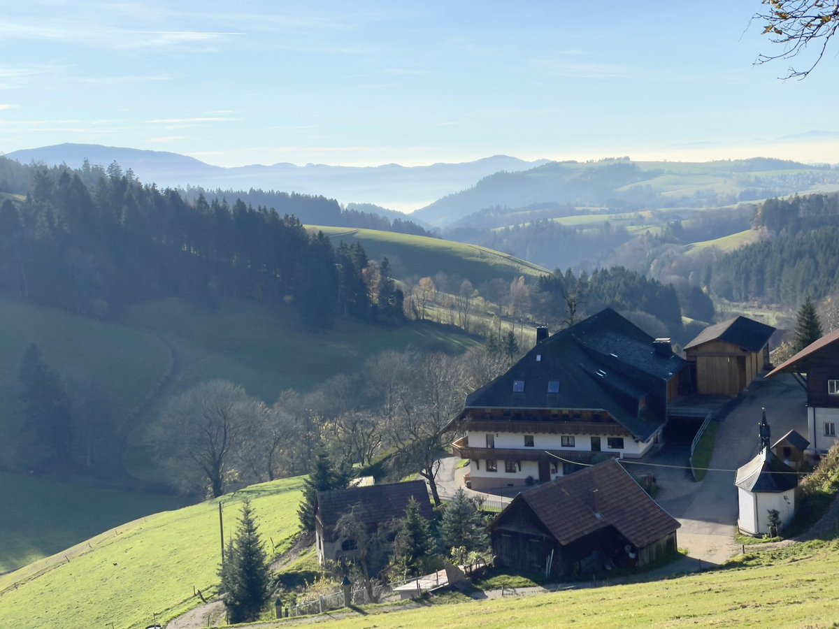 Työmatka ei aina tunnu työmatkalle näissä maisemissa 😊 - kiitollinen fiilis 🎯🎖