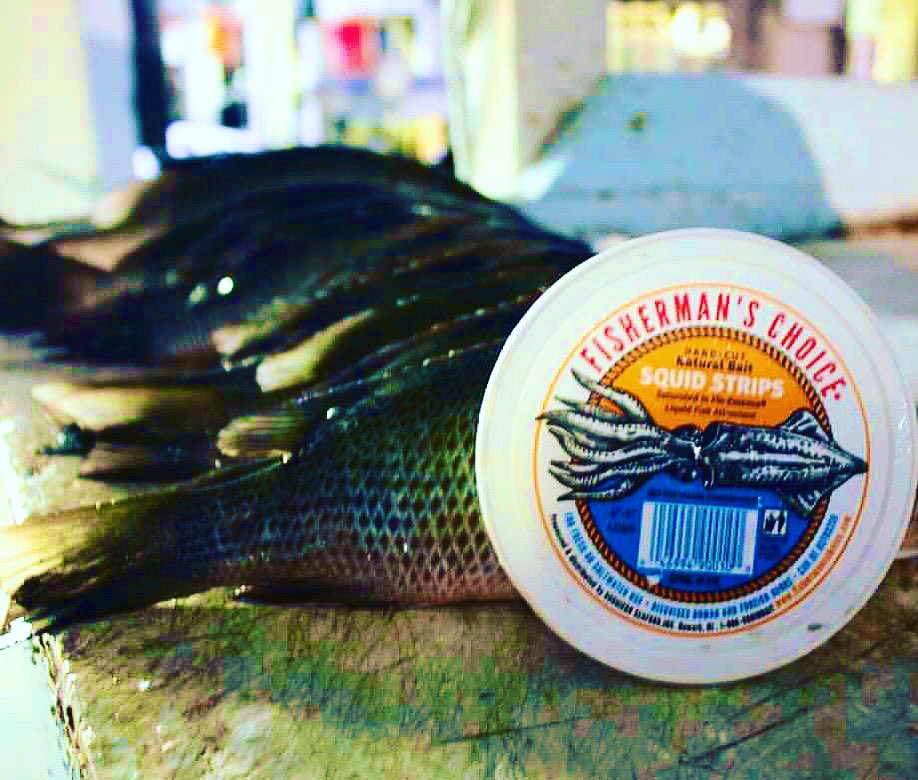 FISHERMAN’S CHOICE tweet media