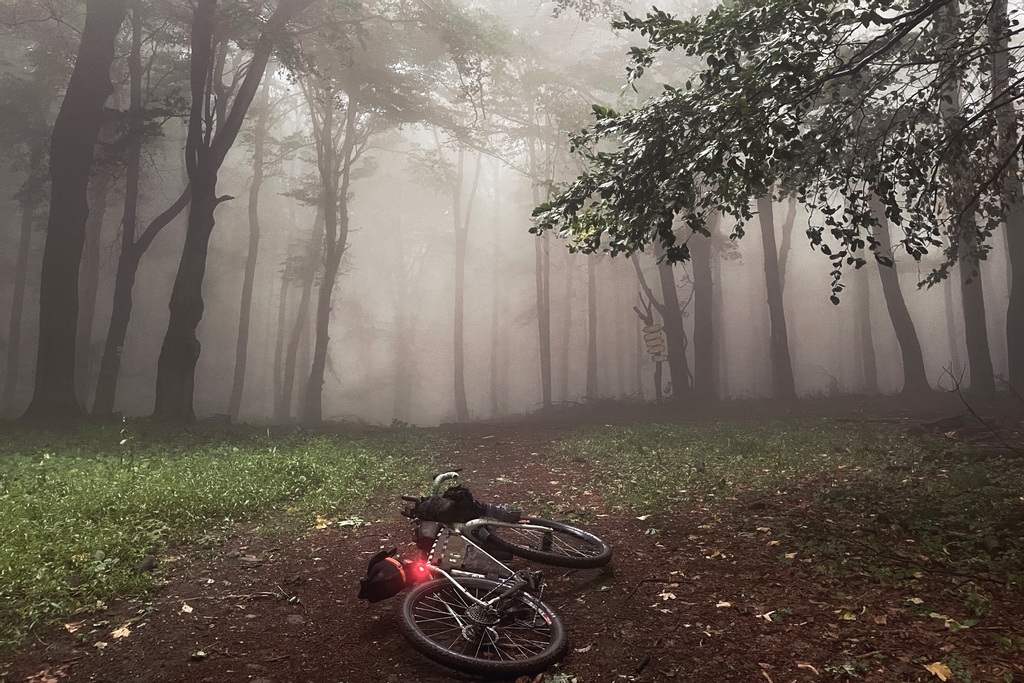 ADVNTR.cc tweet media