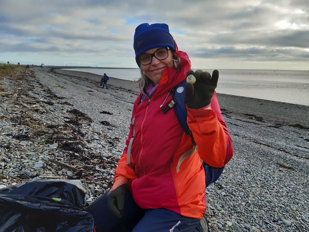 cumbriawildlife's tweet photo. A plastic eyeball - the strangest find at yesterday's #DynamicDunescapes beach clean on Foulney Island! Thanks to the fantastic volunteers who helped clean up the shores at this important place for breeding birds, including Artic & little terns. 20+ rubbish bags collected 😔 https://t.co/FeGbg8b1bt