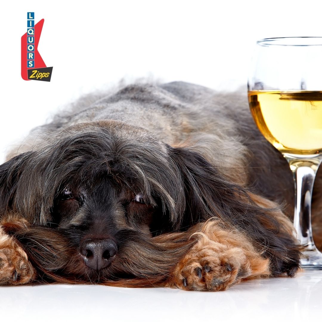 Wine is better with friends! 

We have BIG wine specials in November! Everything in the department is on sale!

Customers get an additional 5% off 6-11 bottles
Additional  10% off 12+ bottles.

Who do you like to drink wine with?