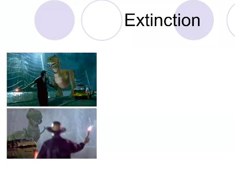 AlexandraLee24's tweet photo. | my love of dinosaurs + property law all on one slide ✌️ @UofGLaw https://t.co/Sm8zsqSPFj
