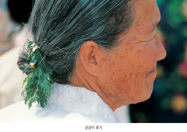 beetie135's tweet photo. 천궁이라고도 불리는 궁궁이는 그 독특한 향기때문에 예로부터 머리에 꽂으면 액(질병)을 물리칠 수 있다고 여겼음.
이 풍습은 경상도, 충청도, ��원도 일부 지역에서만 나타나는데, 일부지역에서는 후술할 창포비녀를 궁궁이라고 부르기도 한다고. https://t.co/k9eN14bTSV