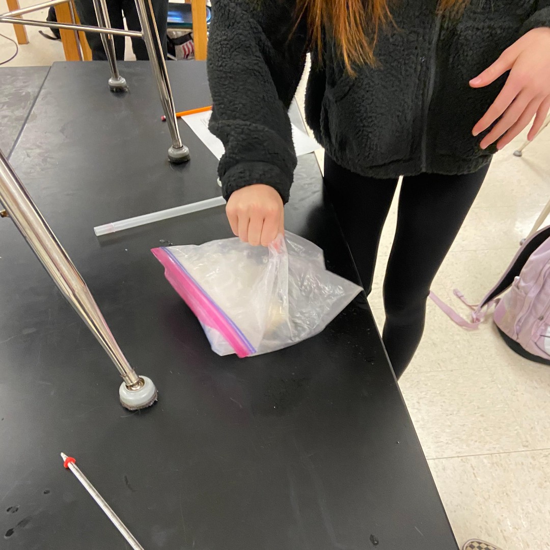 ReedsSpringHS's tweet image. The kids in Ms. Berry's made ice cream today to see the physical and chemical changes that happens when making ice cream with just milk, half and half, sugar, ice, and salt. #WolvesAtWork #AcademicExcellence #FrozenFriday #ScienceYouCanEat @addisonnicloe19