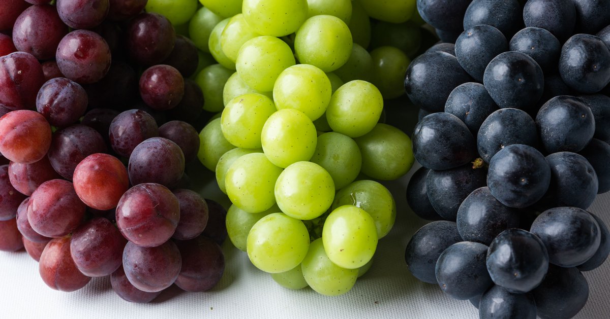 SamsonsGrapes's tweet photo. Name a more iconic trio #samsonstrifecta #inseasonnow https://t.co/Y32WL23Llx