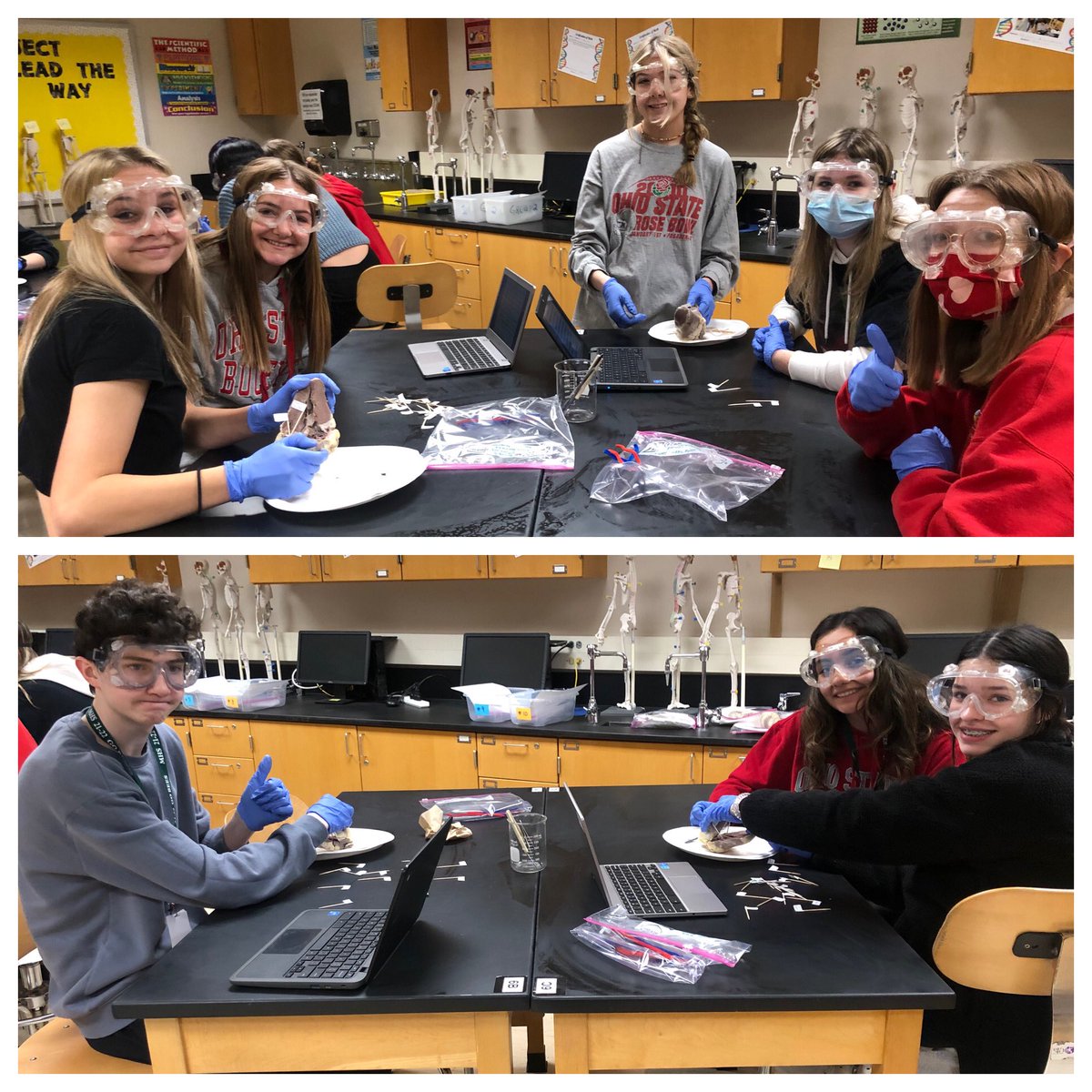 MrsMedlockMHS's tweet photo. PBS ๐ Dissections!! Second period today! (4/5th Iโm sorry I forgot to take pictures while running around ๐คฆ๐ผโโ๏ธ)
#PLTW #PBS #weRmedina #MCCCPLTW
PLTW is a collaboration between MCCC and MCS https://t.co/1H09wWkRei