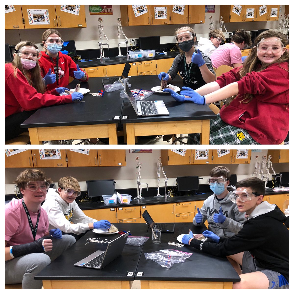 MrsMedlockMHS's tweet photo. PBS ๐ Dissections!! Second period today! (4/5th Iโm sorry I forgot to take pictures while running around ๐คฆ๐ผโโ๏ธ)
#PLTW #PBS #weRmedina #MCCCPLTW
PLTW is a collaboration between MCCC and MCS https://t.co/1H09wWkRei