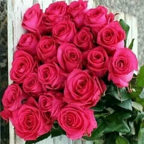 <a href="/RosaTrunk/">Rosa</a> @Chloe1Irina <a href="/AlexiaAnnuk/">ALEXIA</a> <a href="/SergioA60798547/">Sergio</a> <a href="/Chrissyhowell16/">Chrissyhowell🌸⚘🌺⚘</a> <a href="/ranasilvia63/">Luna OM</a> <a href="/Silviadomi222g/">♕Pretty Lady S 💎</a> <a href="/Luna_Om90/">Luna</a> #PRINCESSE 
❤️❤️❤️❤️❤️
Happy Friday Everyone