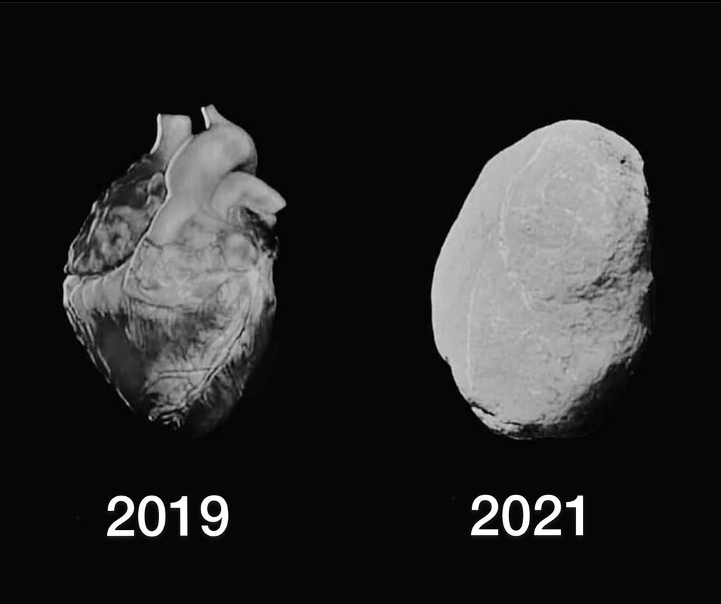 Ne eksik ne fazla tam cv