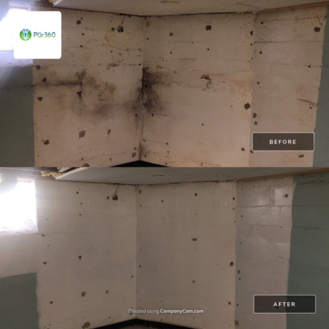 Pur360's tweet photo. Happy Friday to all! Another awesome before and after of our mold removal service that took place in our customers basement.  #Chicago #Dallas #Houston #Madison #Milwaukee #Orlando #Tampa #FreeInspection #Mold #MoldRemoval #OdorRemoval https://t.co/Jjd6JgSU0O