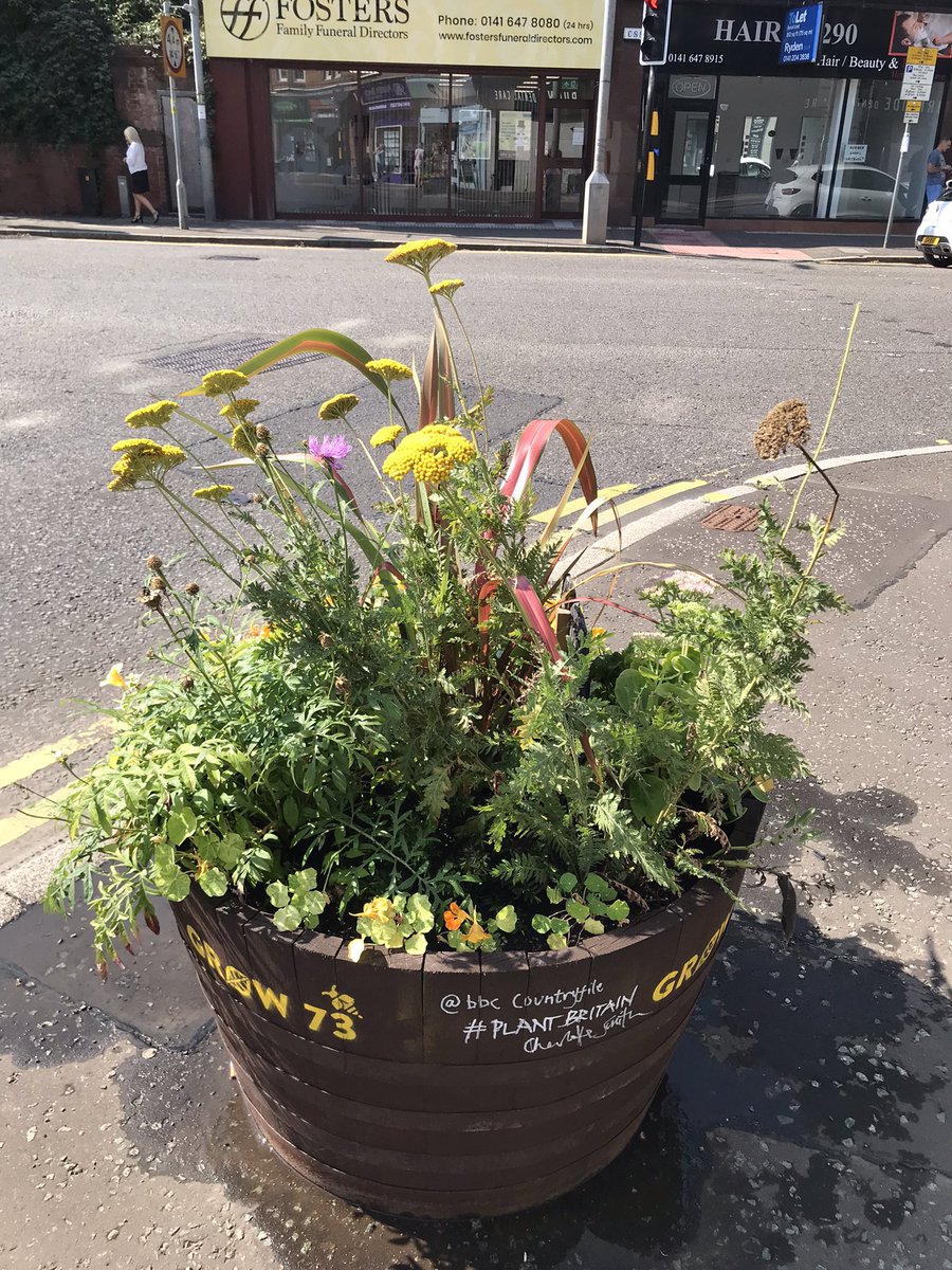 Grow_73's tweet photo. Thank you to @TNLComFundScot for supporting our Bee Line project. We are so grateful as we are transforming our community to be more aware about the need to help care for our biodiversity. #ThankToYou #BeeLine #greenspace #GreeningCamglen #volunteer #biodiversity https://t.co/pEGkBed3kw