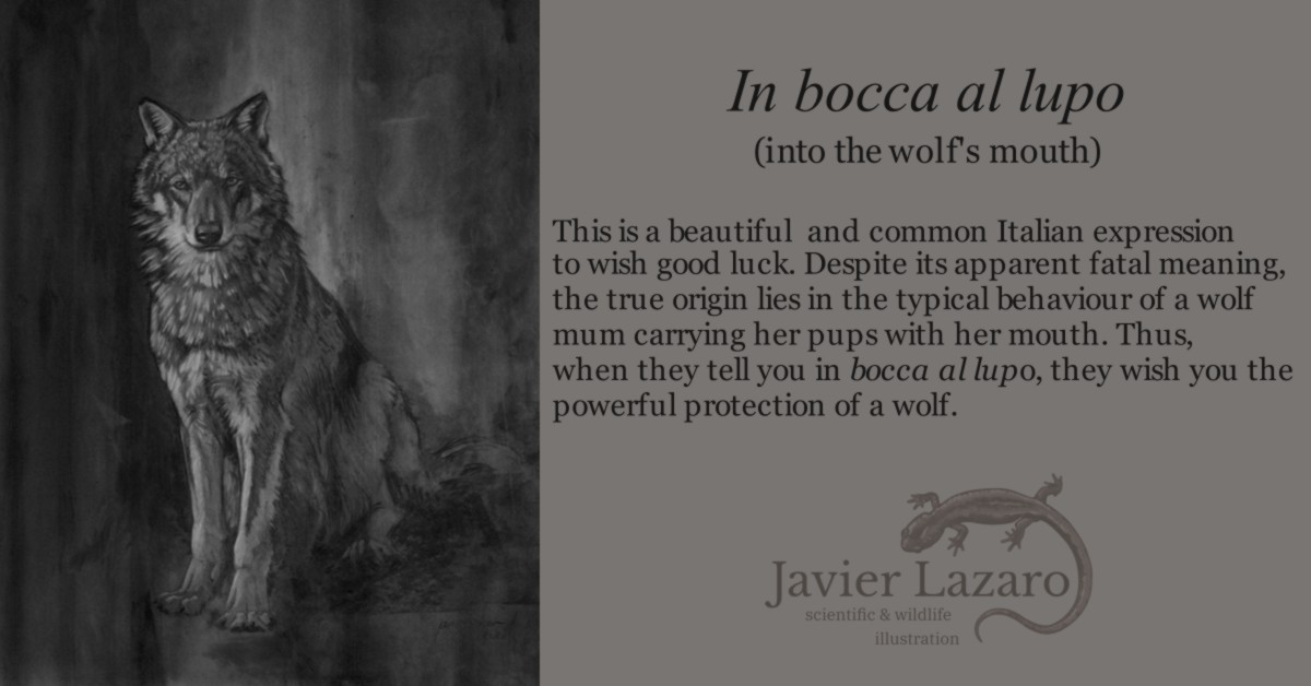 Javier Lazaro on Twitter: Javier Lazaro on Twitter: