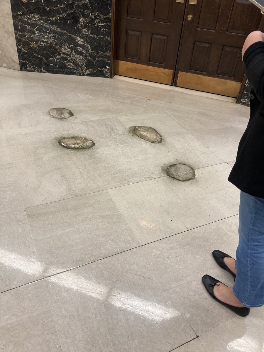 ASM_Irwin's tweet photo. It’s a beary sad day. While @BacteriaBear may have survived through the height of COVID, tough budget years, and three Governors, even solid gold 800lb bears need to hibernate #caleg https://t.co/UwN9g2Re9Y