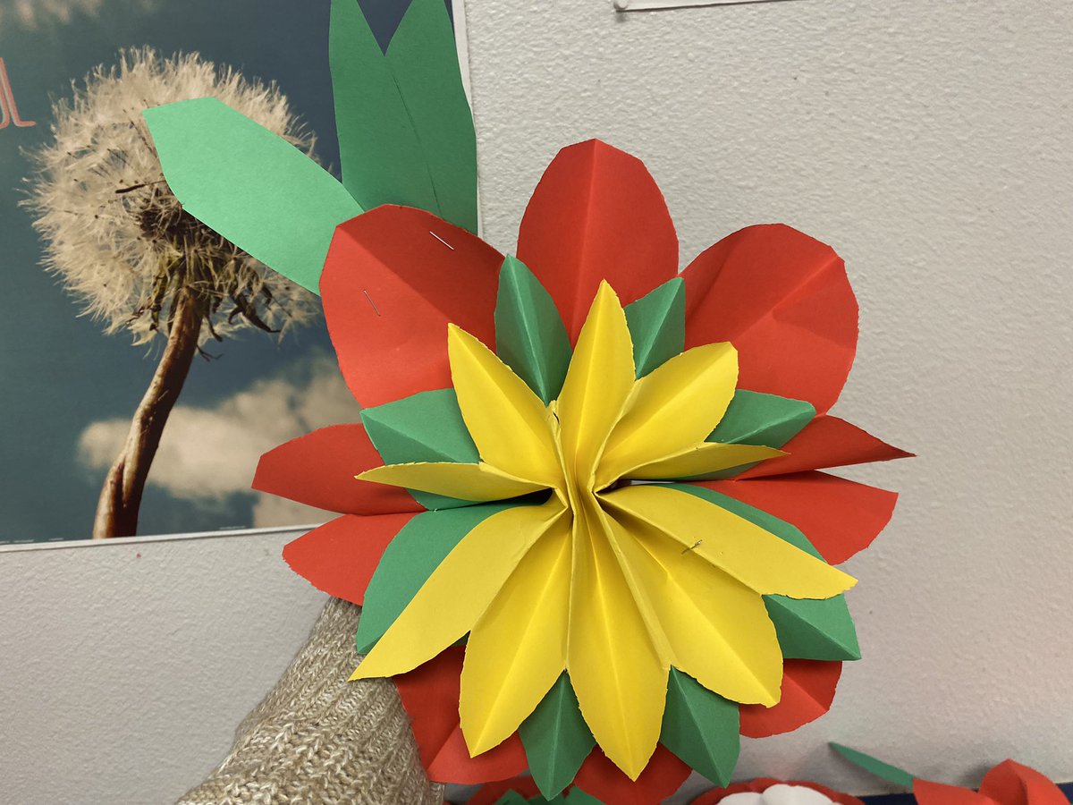 Alyssa_L1819's tweet photo. A counter full of poinsettias! Today our wonderful  AVID students worked on some amazing poinsettias for our hall decorating!  #AVIDcavs
@MPorras_HMS @AHernandez_HMS @jgraje08 @sarahinabubble_ https://t.co/B1U7RoZyx4
