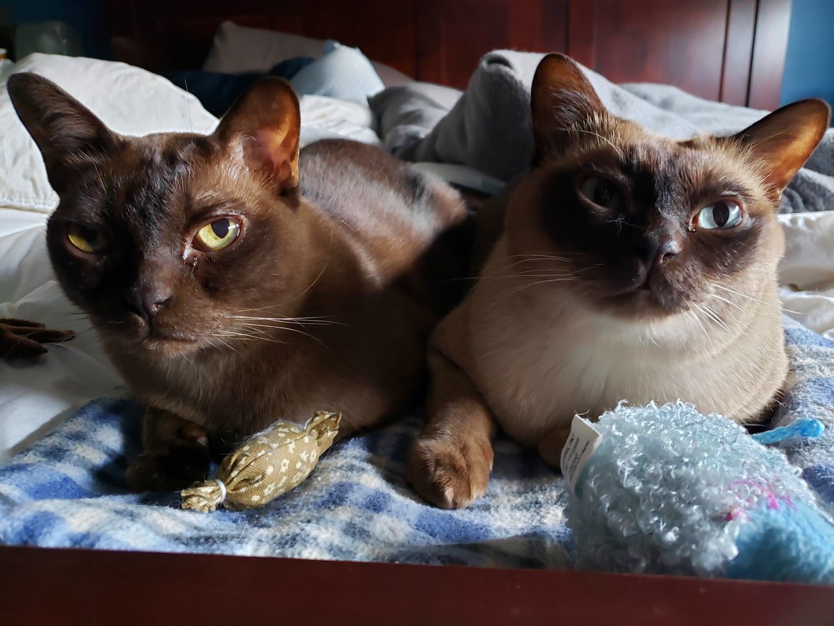 Sandy Oh-Canada tweet media