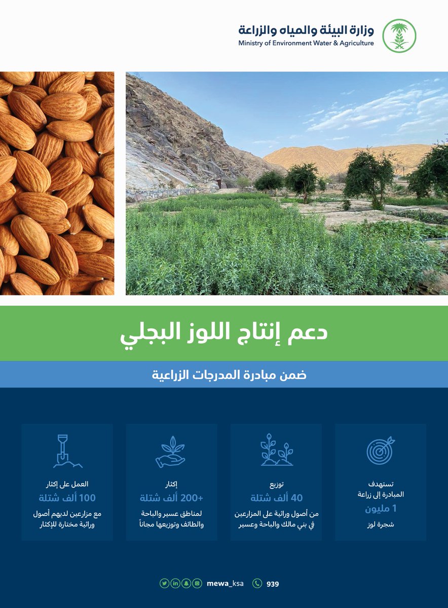 بهدف الوصول إلى مليون شجرة لوز، 
تعرف على جهود الوزارة في دعم إنتاج اللوز البجلي، ضمن مبادرة المدرجات الزراعية.