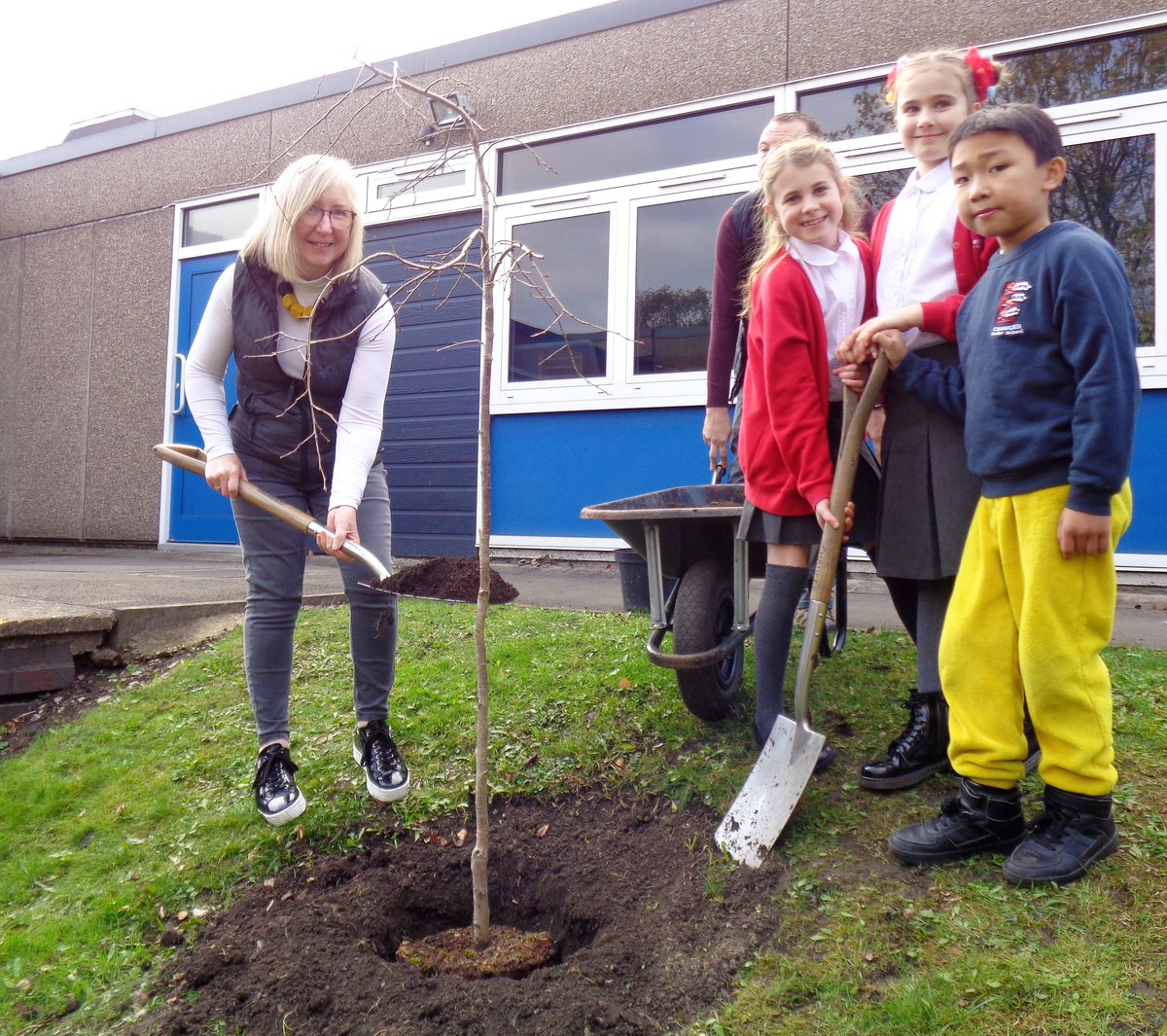 ChaucerJun's tweet image. Thank you so much to the children and their families, @maggie_erewash @CrawfordMatt77 @CllrJamesDawson @gardenersteve for coming along to our @QGCanopy tree planting. A special afternoon! Mrs Wheatley @KerryLWheatley #QueensGreenCanopy #PlatinumJubilee @RoyalFamily 🌳👑