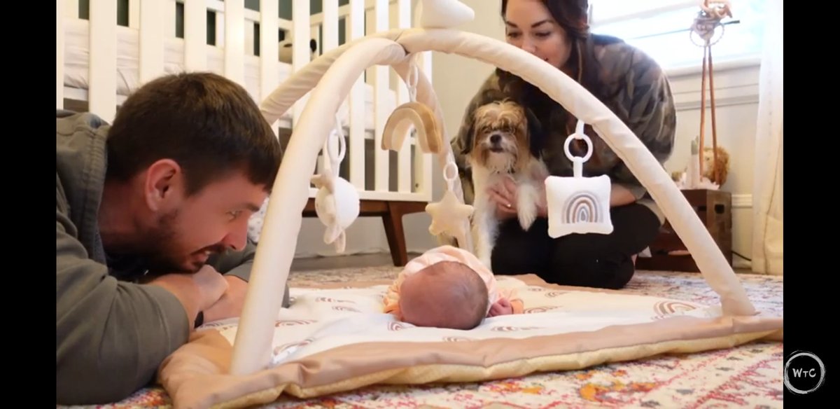 didbenstartvlog's tweet photo. YES, also, ben uploaded his second vlog and it is great, Loved how chewie was jealous of the attention addison was getting from @AlyceCH and @SCB_Ben
That being said, this is my 400th and last tweet, thank you all again for the support and I will see you in another life brother. https://t.co/0rxr00kEZK