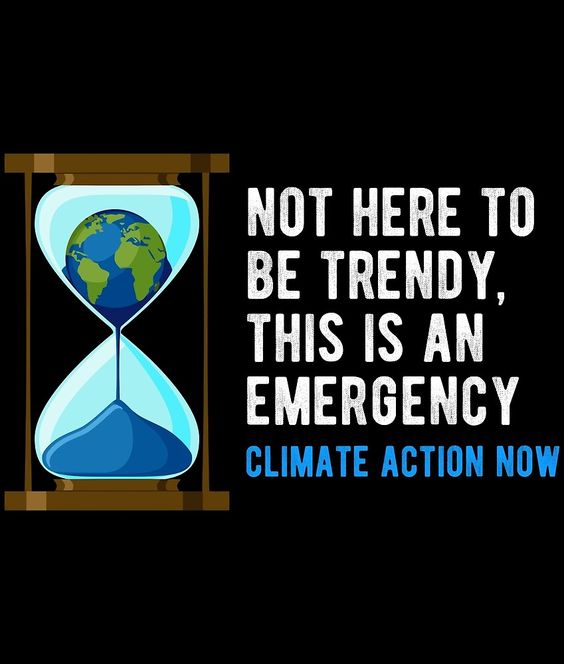8BillionTrees's tweet photo. We've debated and talked about possible solutions for decades. The time for action is now!

Click the link in our bio or visit our website to learn how you can take action and help us plant and conserve more trees! https://t.co/1X1d82xCVB