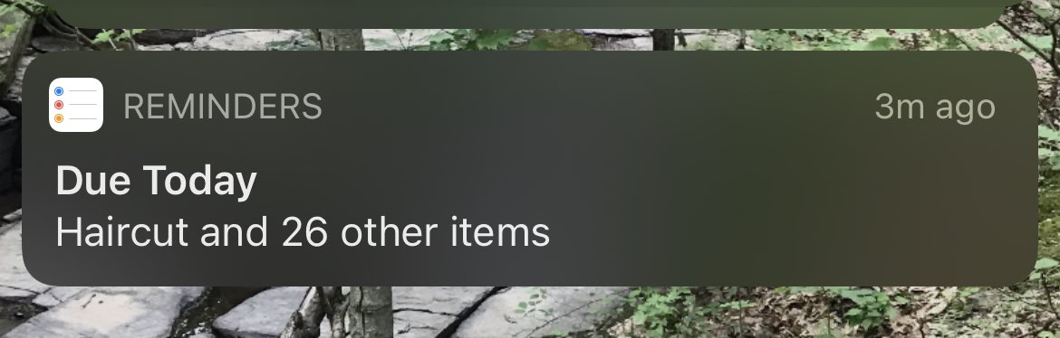 ethan_____'s tweet photo. Living life absolutely unhinged https://t.co/SjtDMABEwi