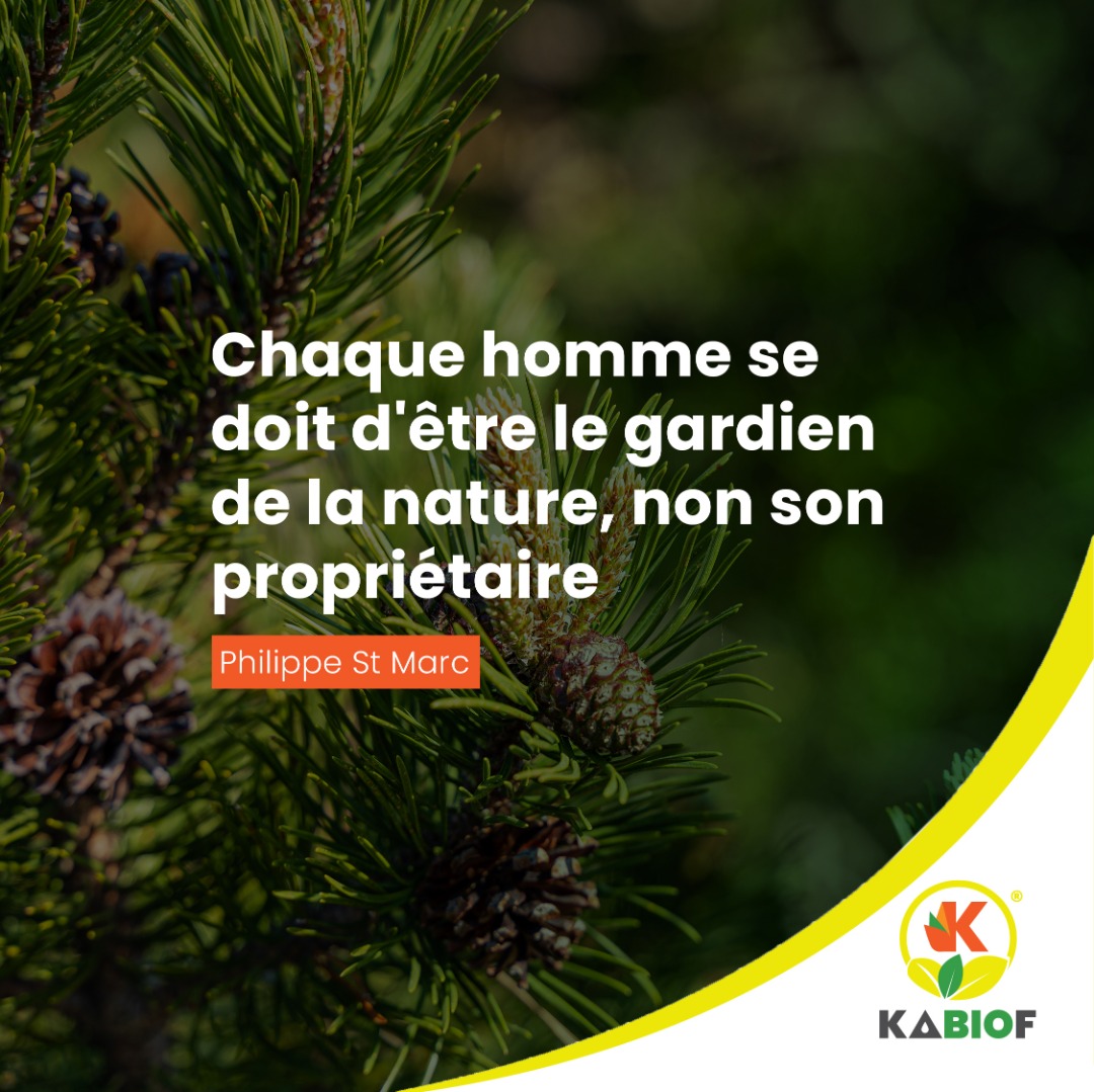 Kabiof La Protection De L Environnement Nous Regarde Tous Kabiofmakara Greenenergy Climatechange Kageconomy T Co Yrg6f9epr0 Twitter