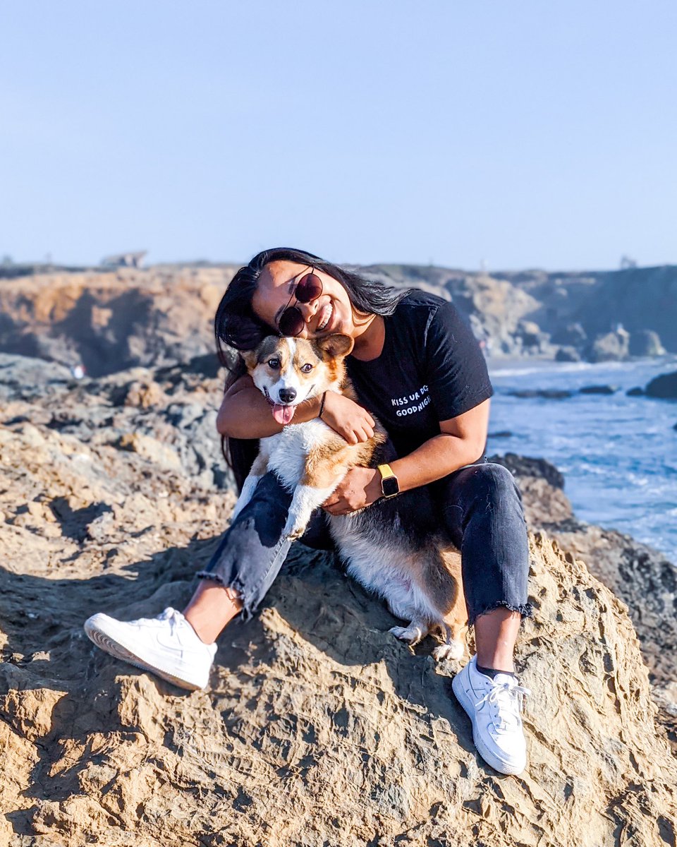 🚨To celebrate 100k followers, we're giving away a FREE ᵏᶦˢˢ ᵘʳ ᵈᵒᵍ ᵍᵒᵒᵈⁿᶦᵍʰᵗ t-shirt!

To enter:
1. Like &amp; RT this post
2. Follow <a href="/tramelayne/">Tram</a> &amp; <a href="/PAVDAD/">ANT.</a>

👕 Merch: pavlovthecorgi.com
✨ Giveaway ends 11/25