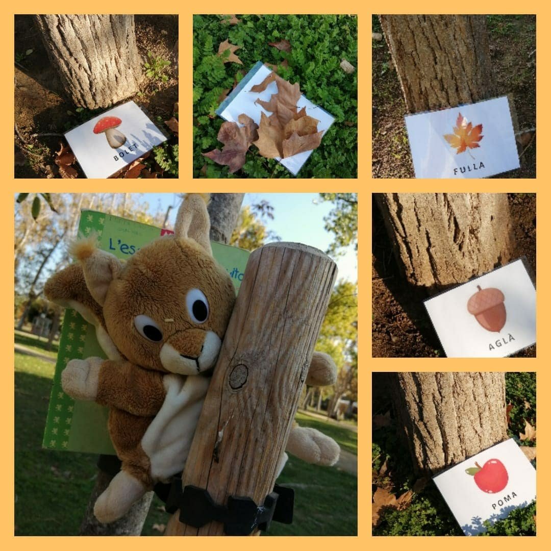 Avui els pollets 🐤 i els conillets🐰hem anat d'excursió al parc de Can Mercader a gaudir d'un dia de tardor! 🍁🍂
Hem fet un joc de pistes i hem trobat una sorpresa!!!! 🐿️📖
#connectatsambgoig 
#RedCentrosIT